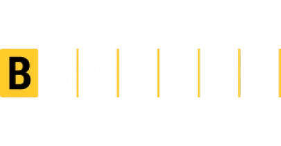 partners who work with SATTA BUZZ